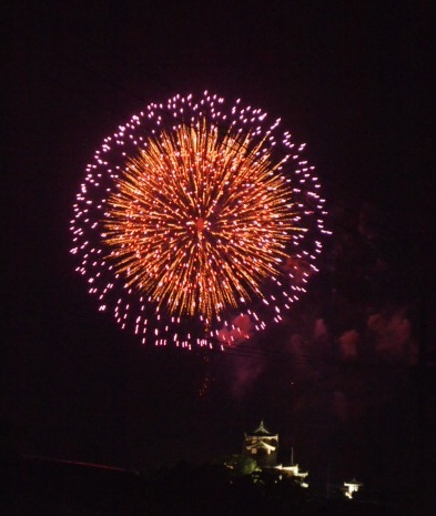 2010 fireworks 005.JPG