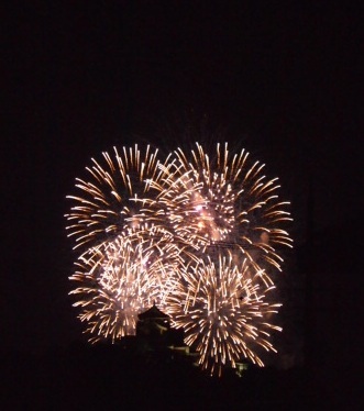 2010 fireworks 009.JPG