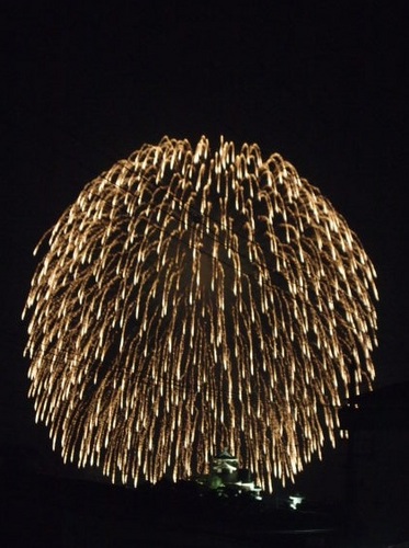 2010 fireworks 013.JPG