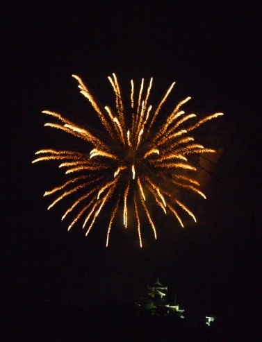 2010 fireworks 015.JPG