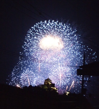 2010 fireworks 021.JPG