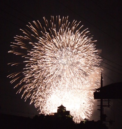2010 fireworks 027.JPG